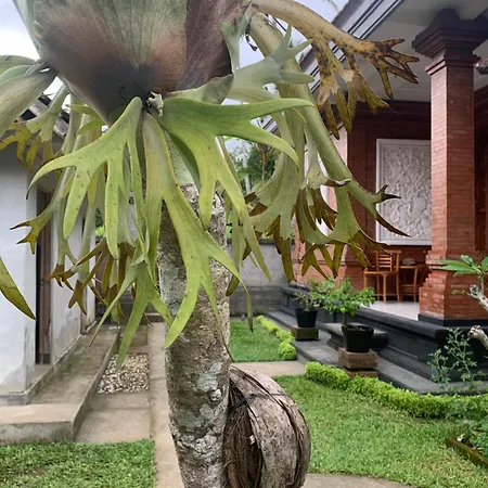 Made Misi Homestay Penginyahan Exterior photo