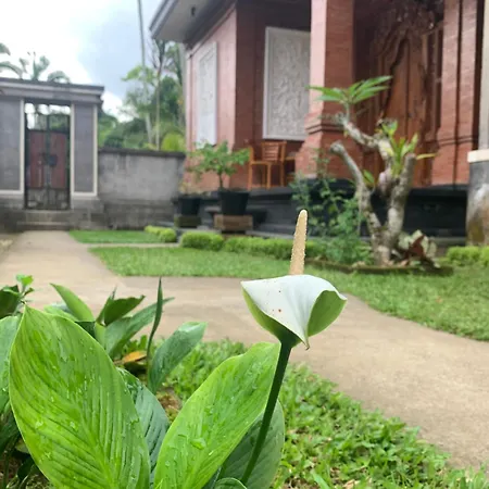 Made Misi Homestay Penginyahan Exterior photo